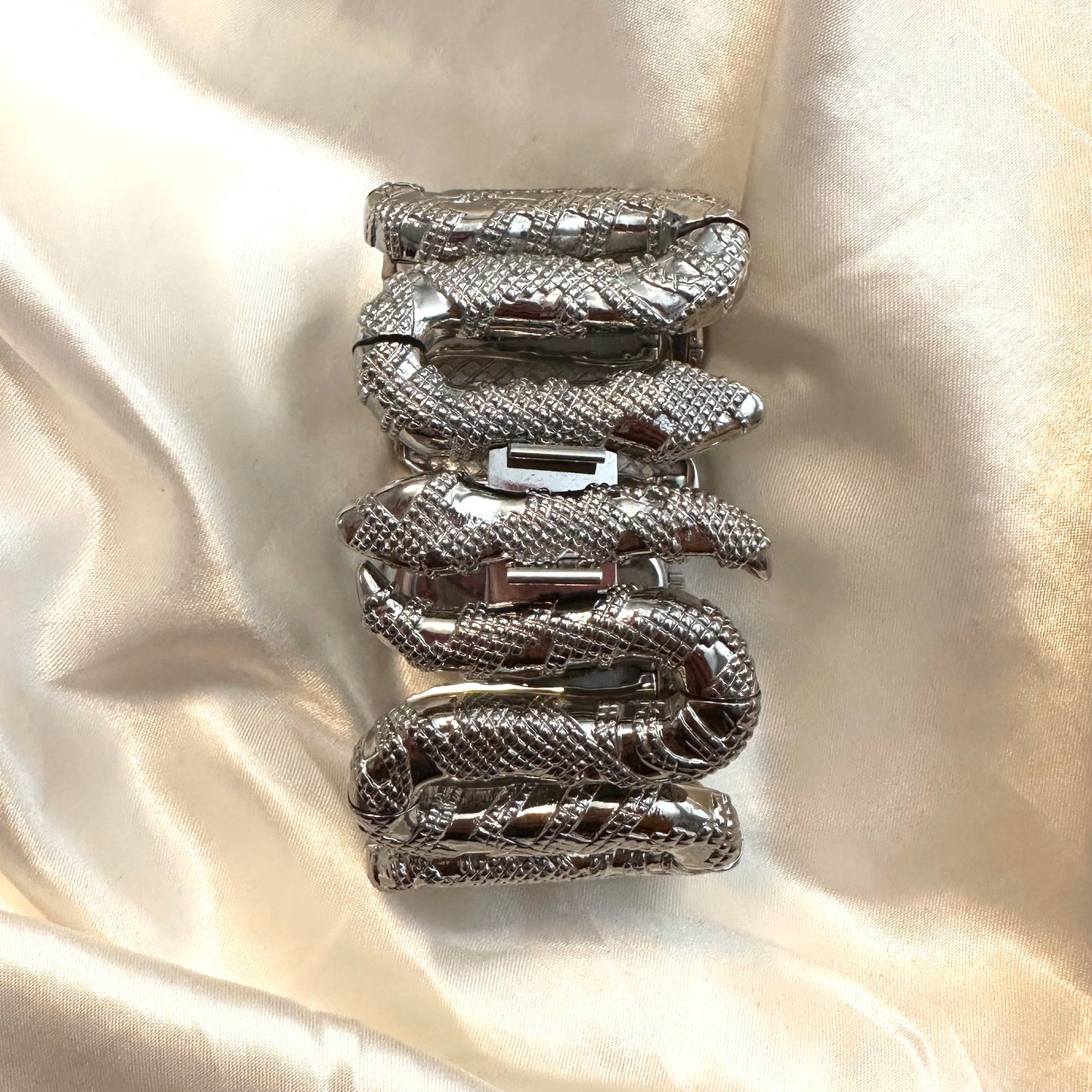 ❤️🔥 Roberto Cavalli Silver Snake Watch